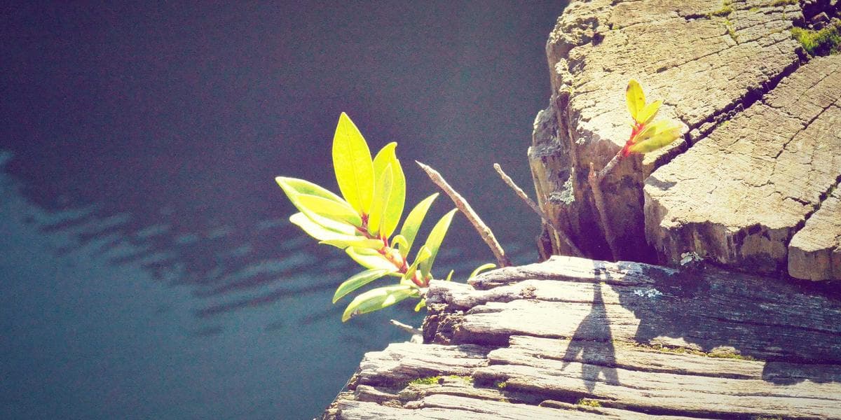 The Admin Audit: Finding the invisible work that slows your business down